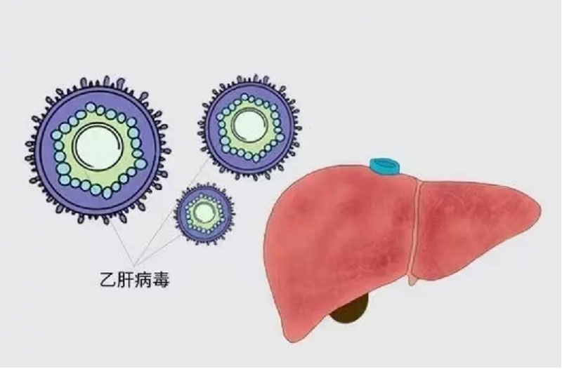 202405261443441997872255 拷贝.jpg
